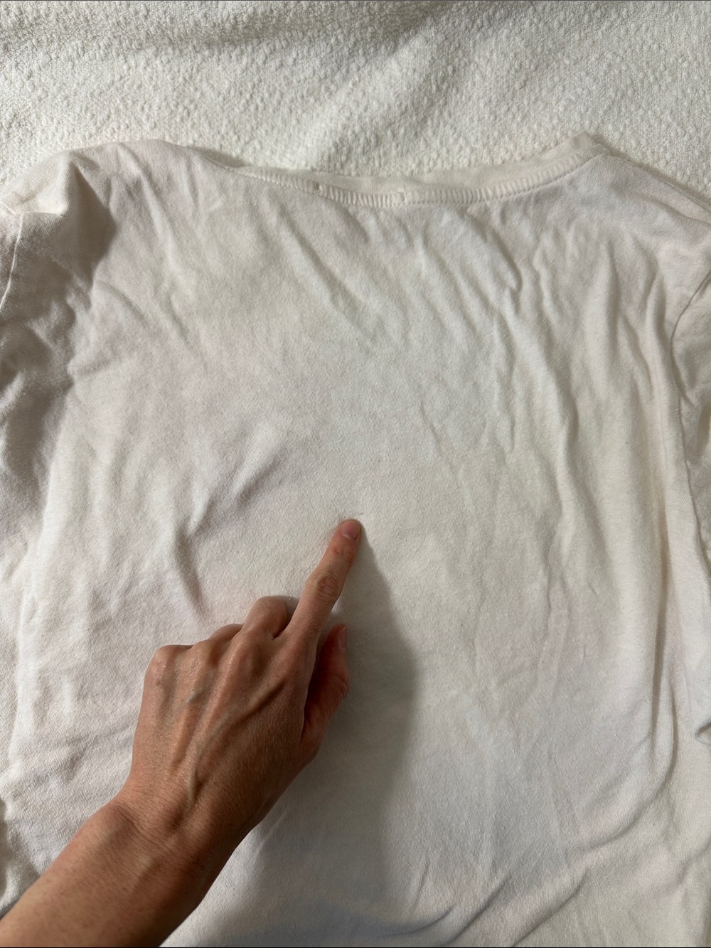 Marine Layer Crop Tee Wave and Sun Graphic Medium - Picture 7 of 8